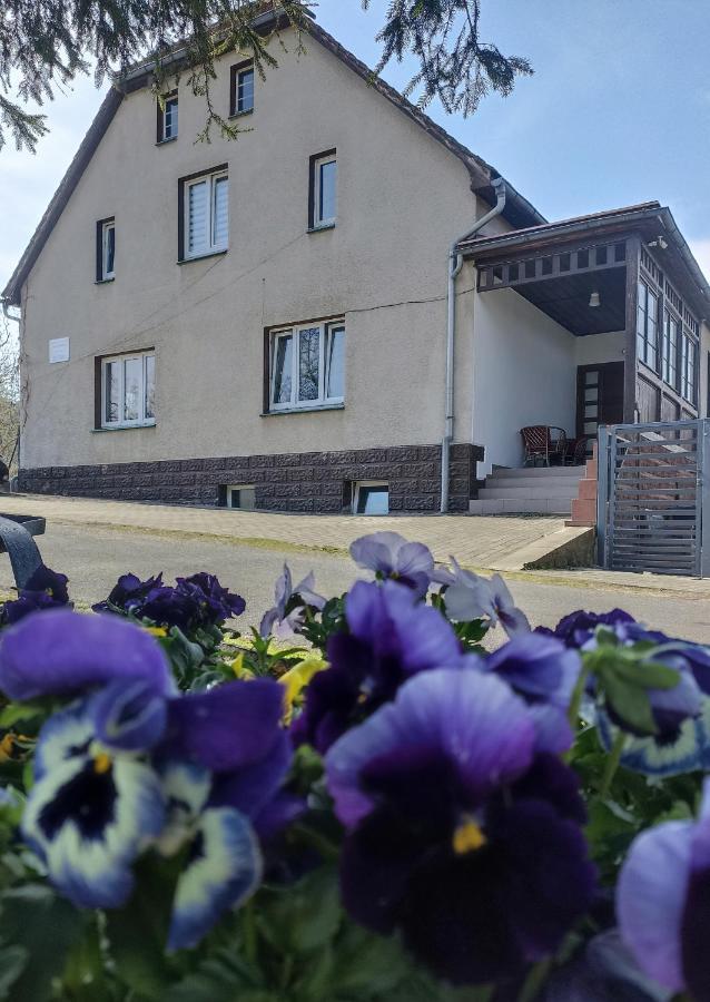 Agroturystyka Nad Bobrem Pilchowice المظهر الخارجي الصورة