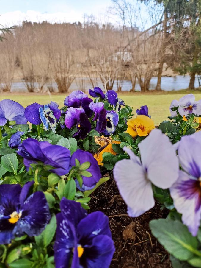 Agroturystyka Nad Bobrem Pilchowice المظهر الخارجي الصورة