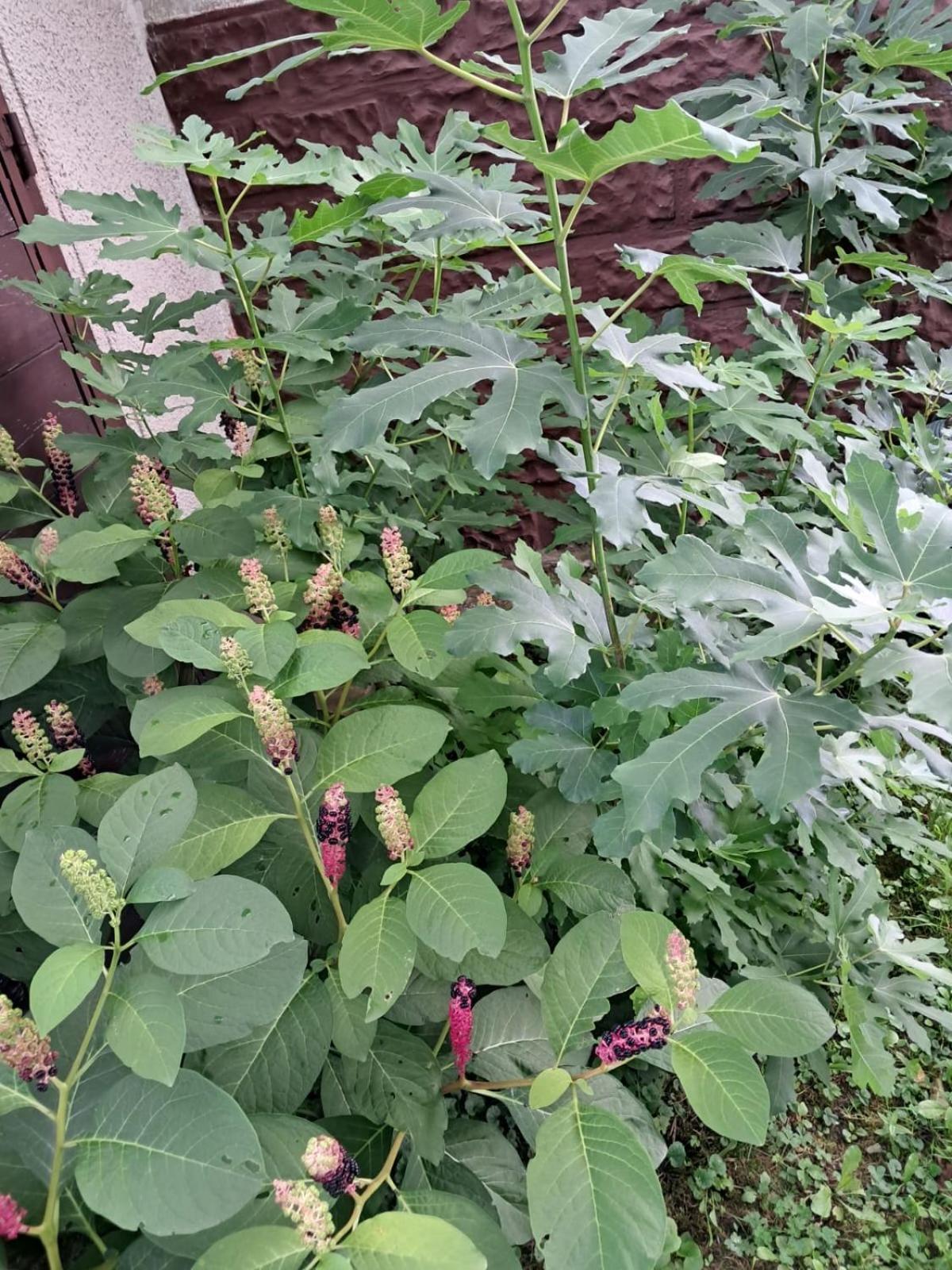 Agroturystyka Nad Bobrem Pilchowice المظهر الخارجي الصورة